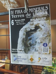 Expositor 3 MineralExpo 2026